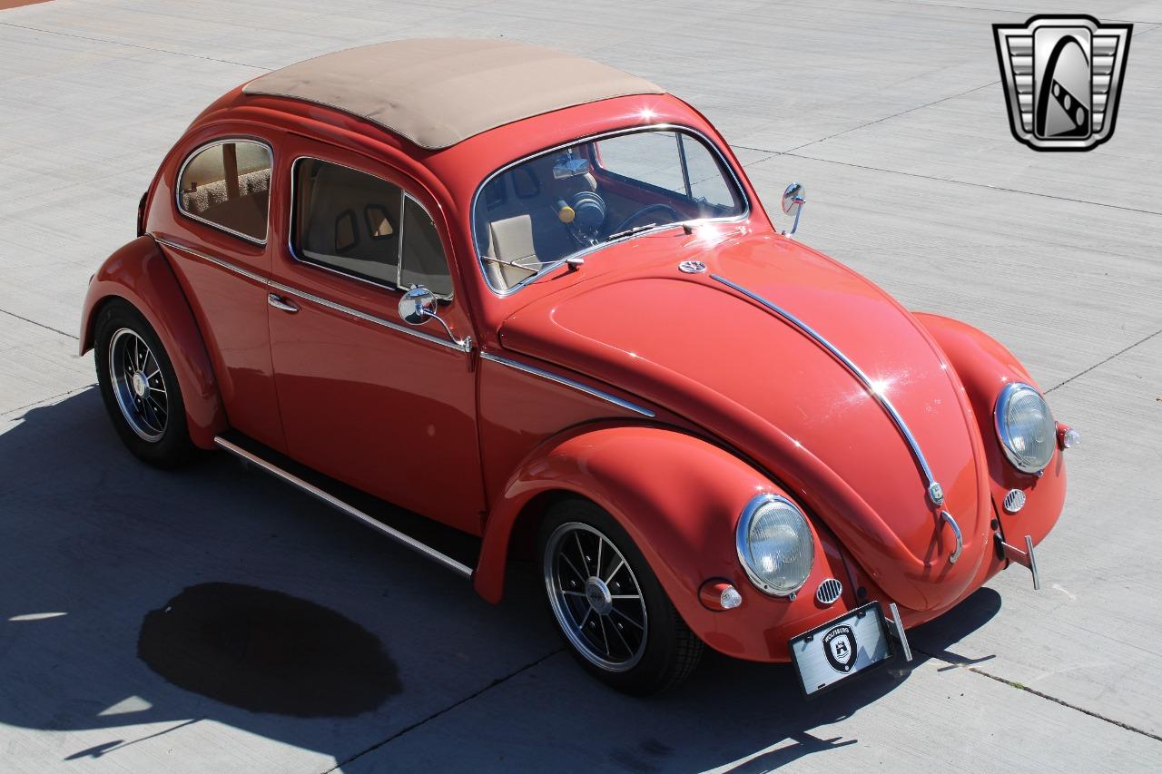 1966 Volkswagen Beetle