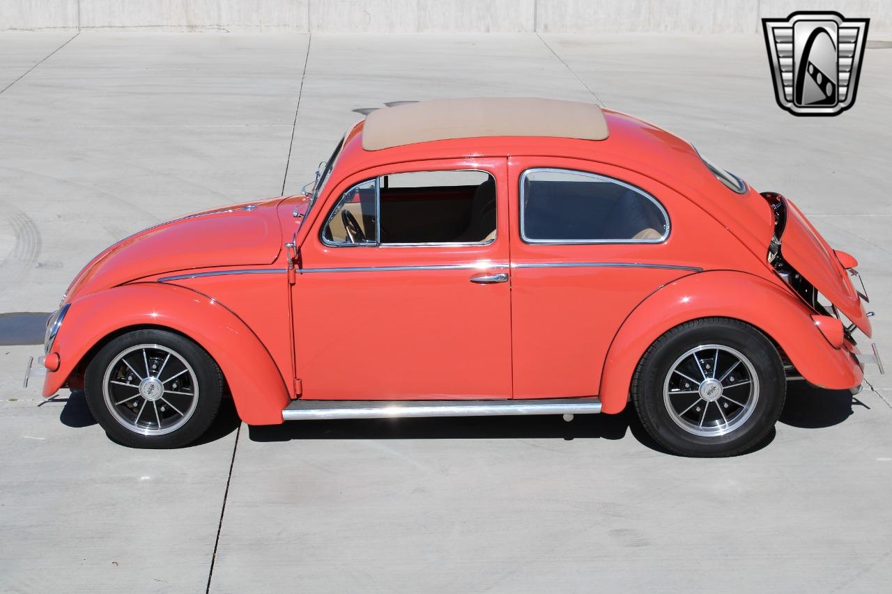 1966 Volkswagen Beetle