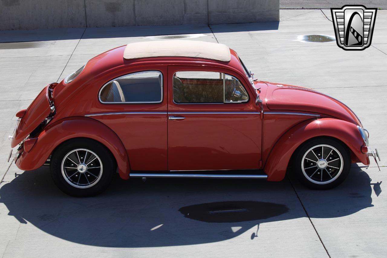 1966 Volkswagen Beetle