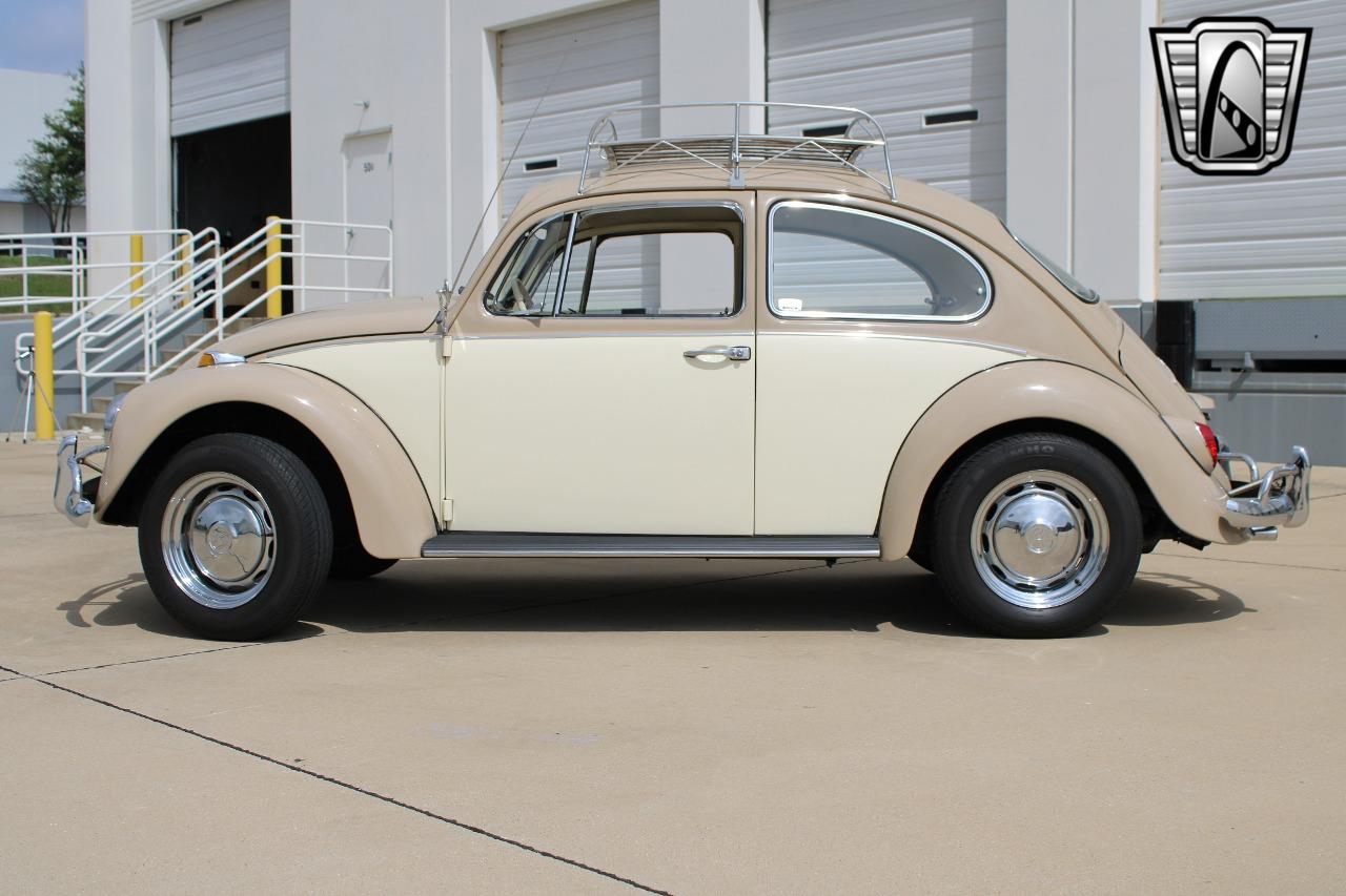 1967 Volkswagen Beetle