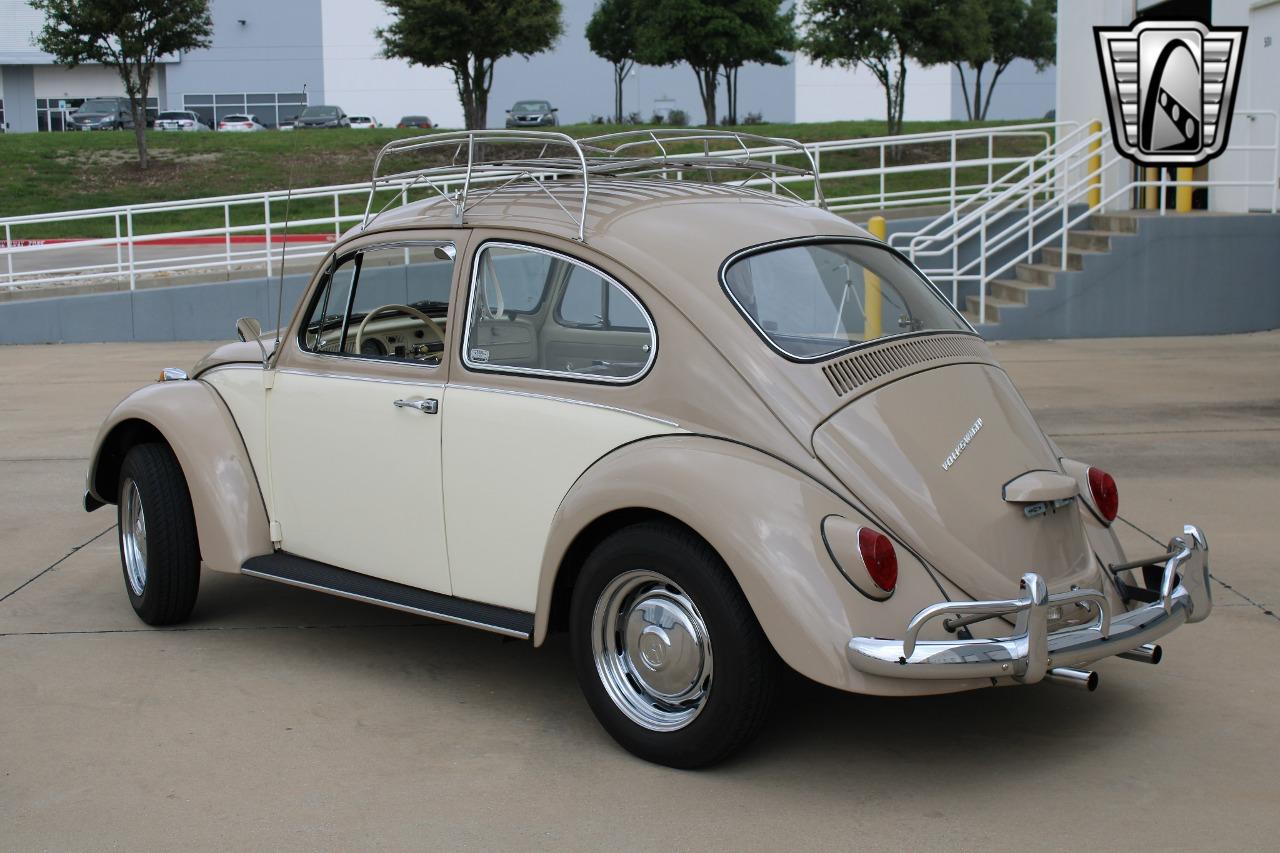 1967 Volkswagen Beetle