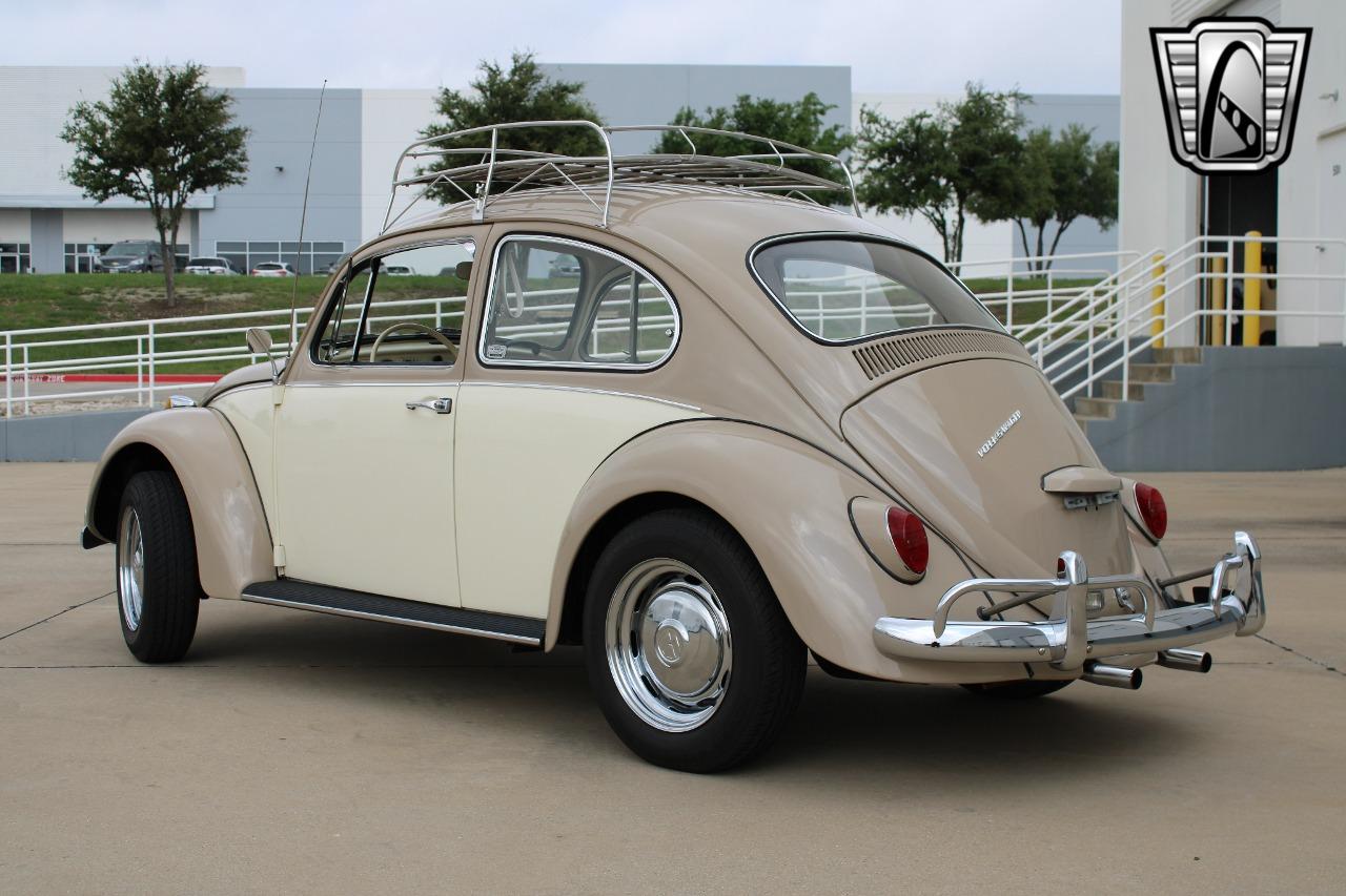 1967 Volkswagen Beetle