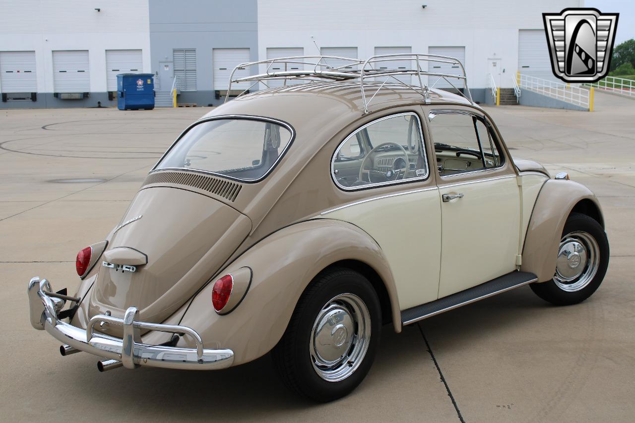 1967 Volkswagen Beetle