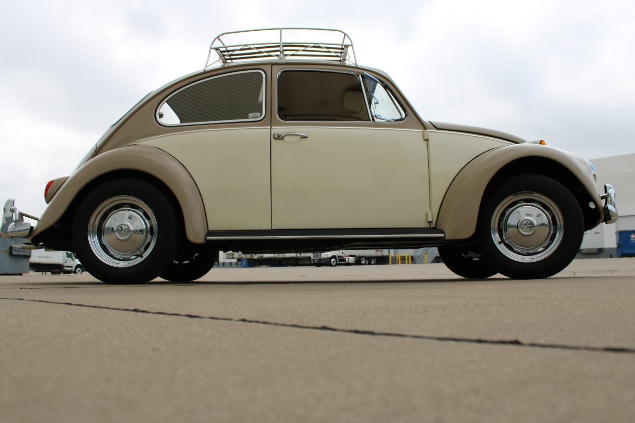 1967 Volkswagen Beetle