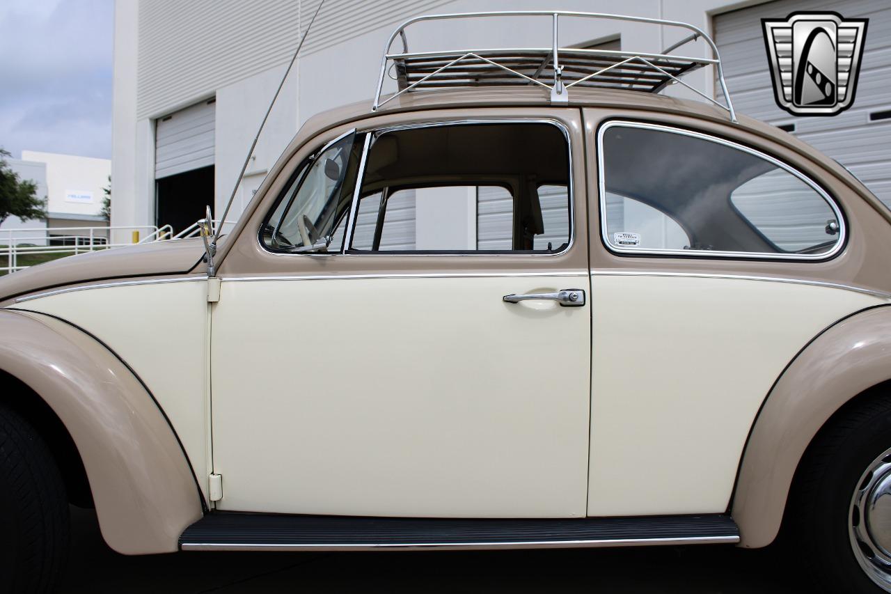 1967 Volkswagen Beetle