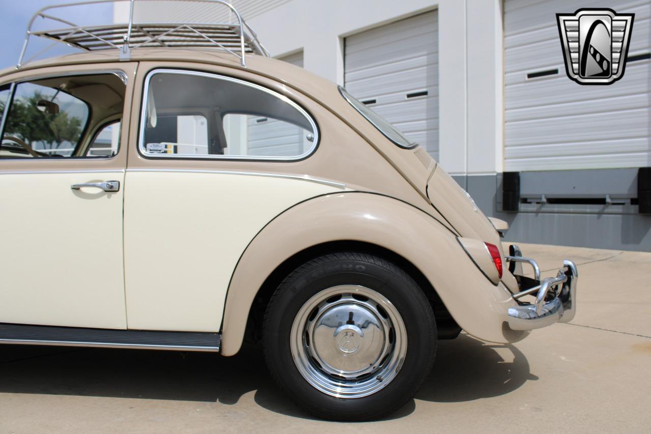 1967 Volkswagen Beetle