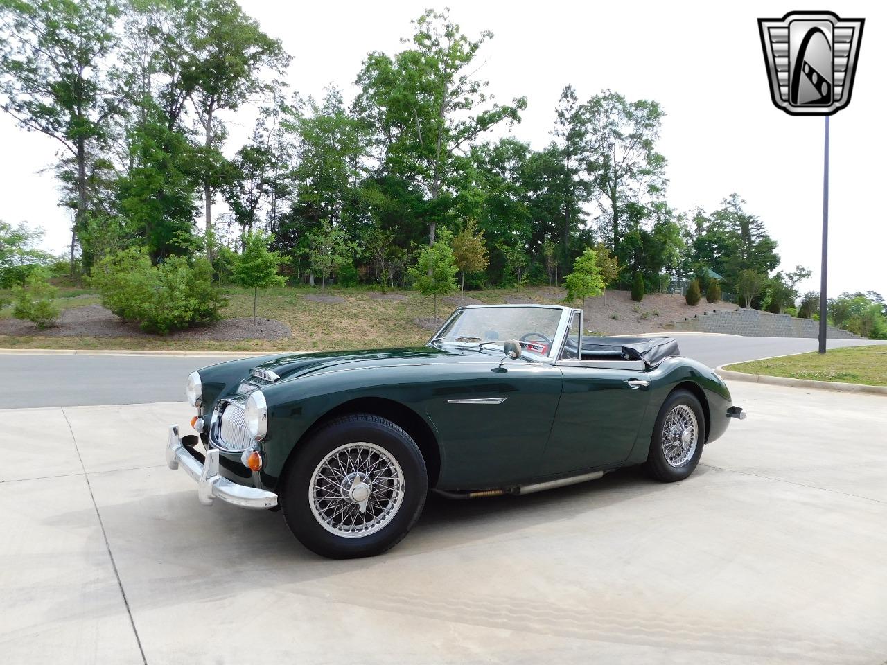 1966 Austin - Healey 3000