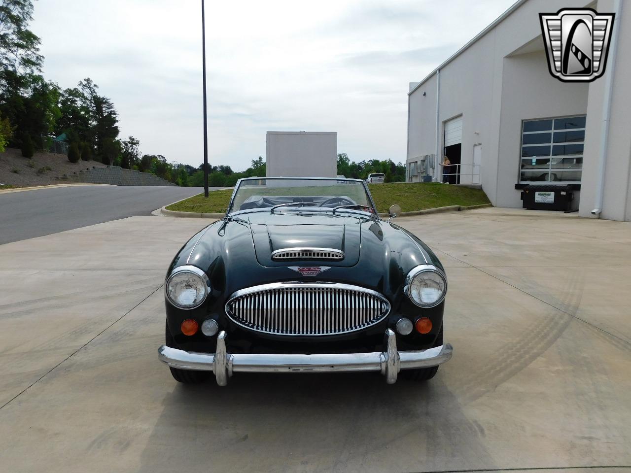 1966 Austin - Healey 3000