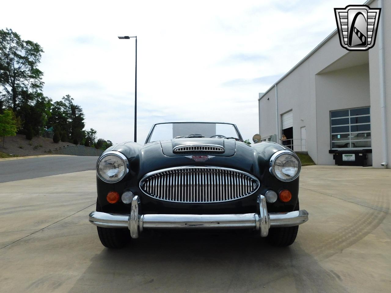 1966 Austin - Healey 3000