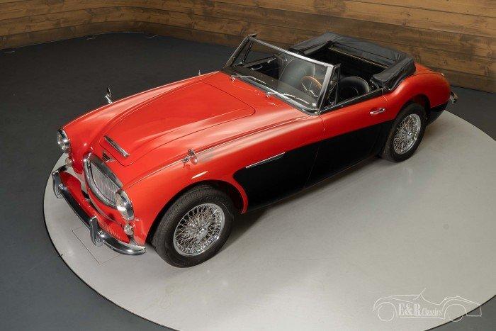 1965 Austin - Healey 3000 MKIII