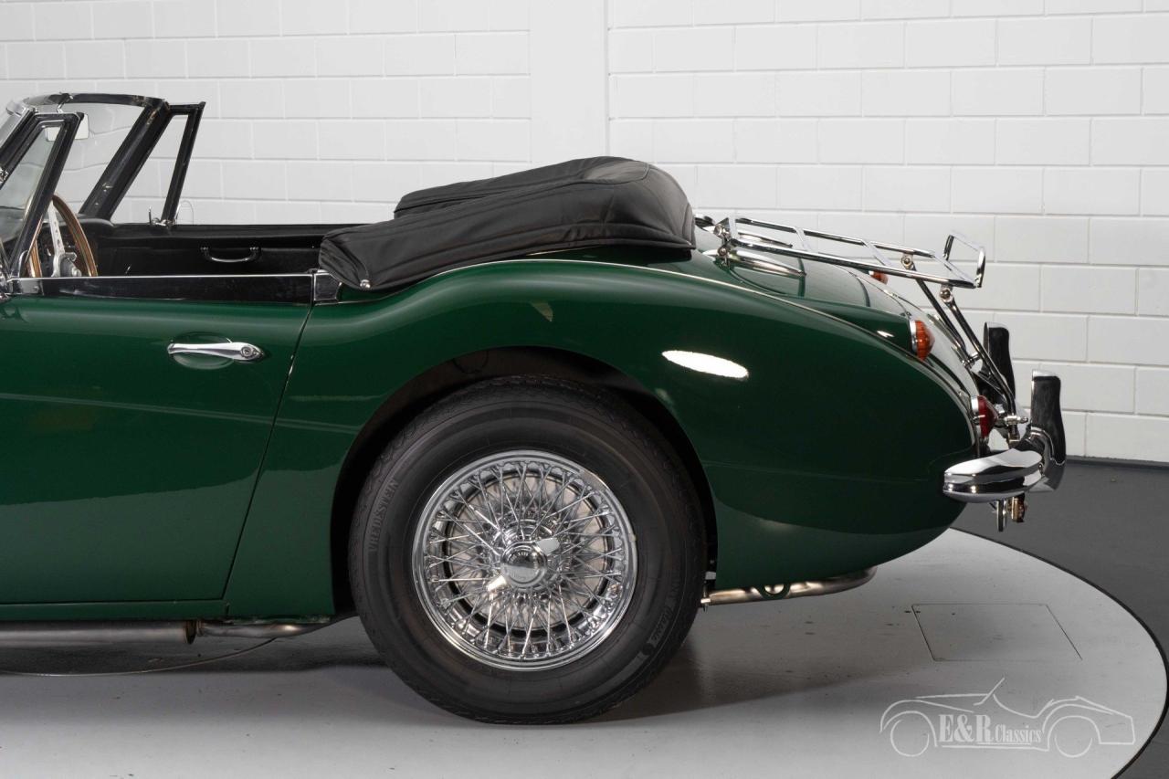 1966 Austin - Healey 3000 MKIII