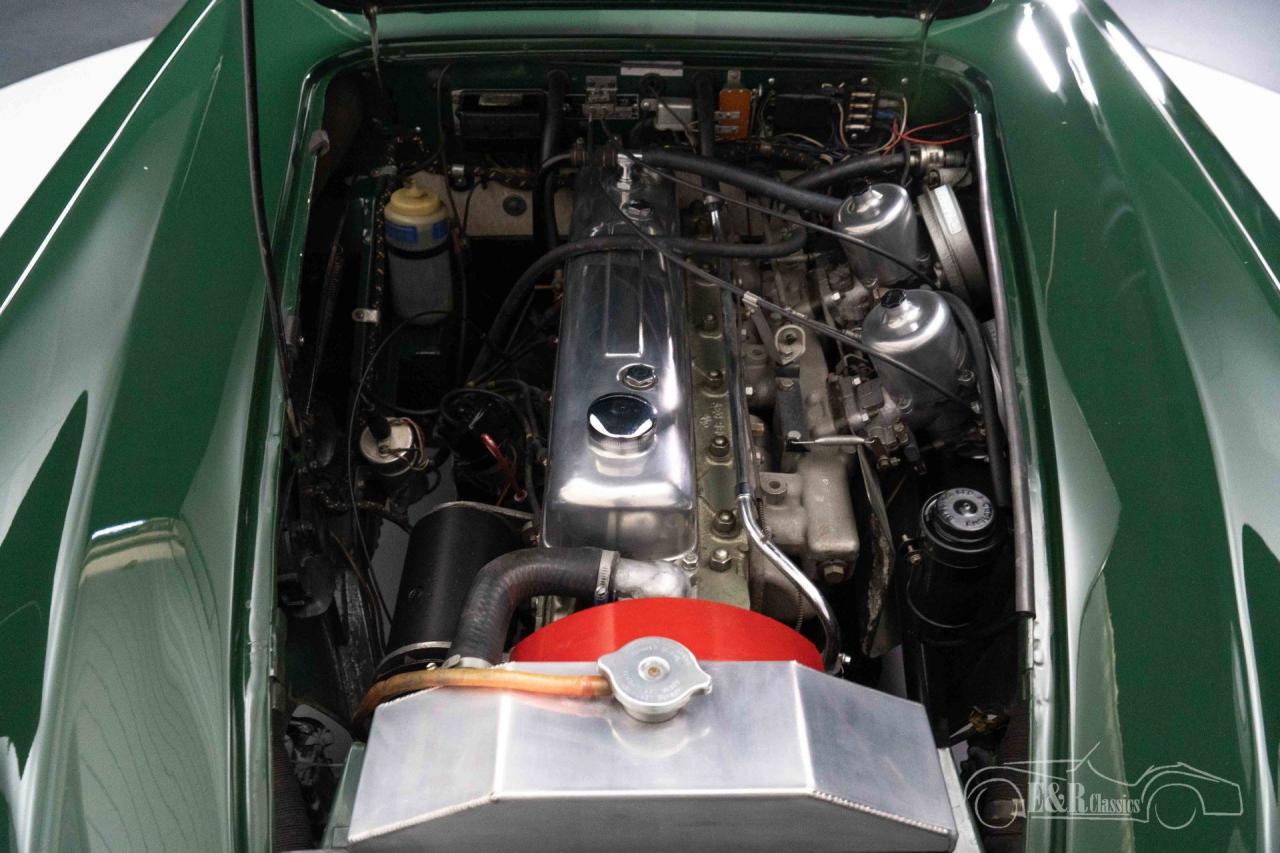 1966 Austin - Healey 3000 MKIII