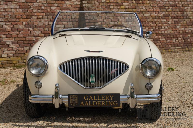 1954 Austin - Healey 100 Roadster 100M Specification