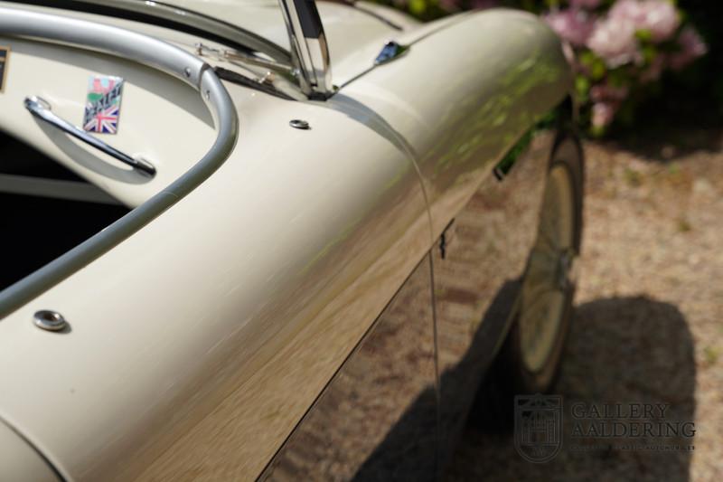 1954 Austin - Healey 100 Roadster 100M Specification