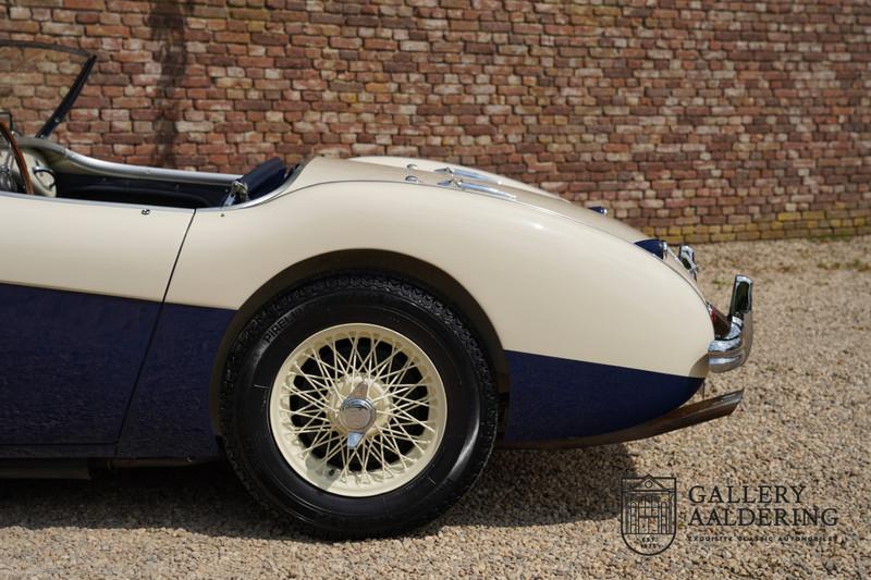 1954 Austin - Healey 100 Roadster 100M Specification