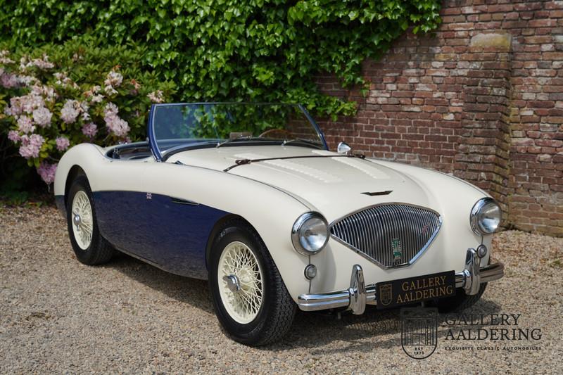 1954 Austin - Healey 100 Roadster 100M Specification