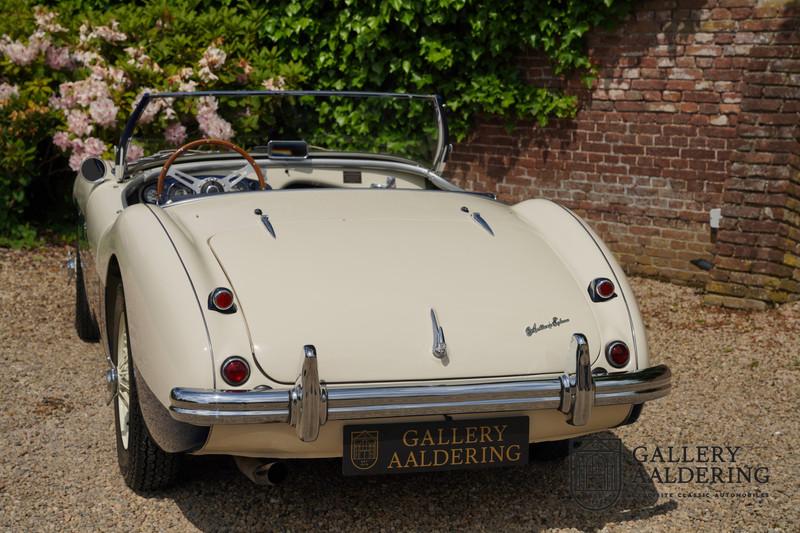 1954 Austin - Healey 100 Roadster 100M Specification