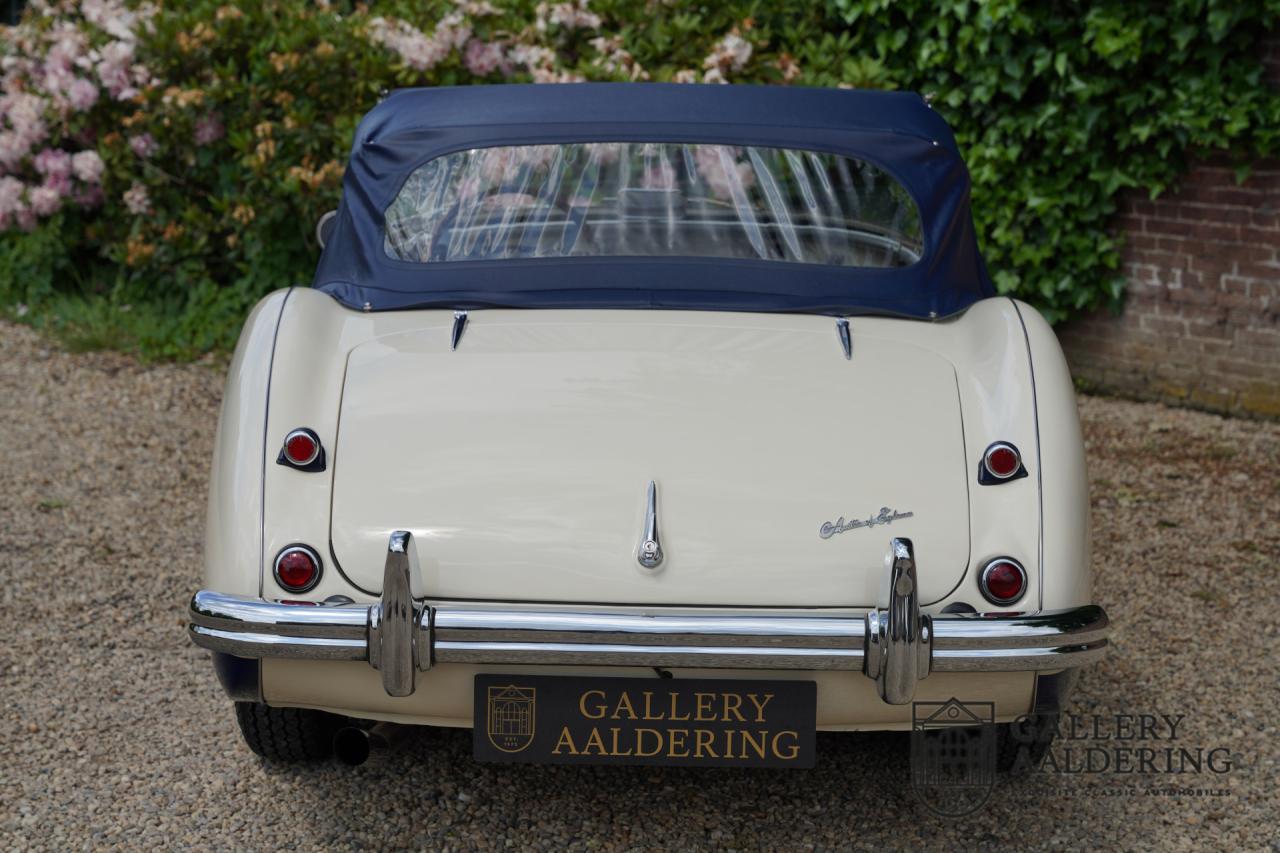 1954 Austin - Healey 100 Roadster 100M Specification