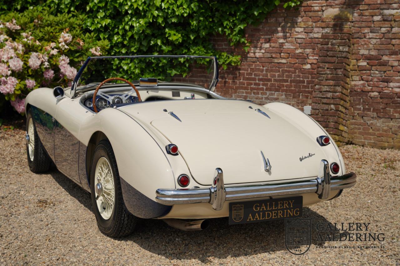 1954 Austin - Healey 100 Roadster 100M Specification