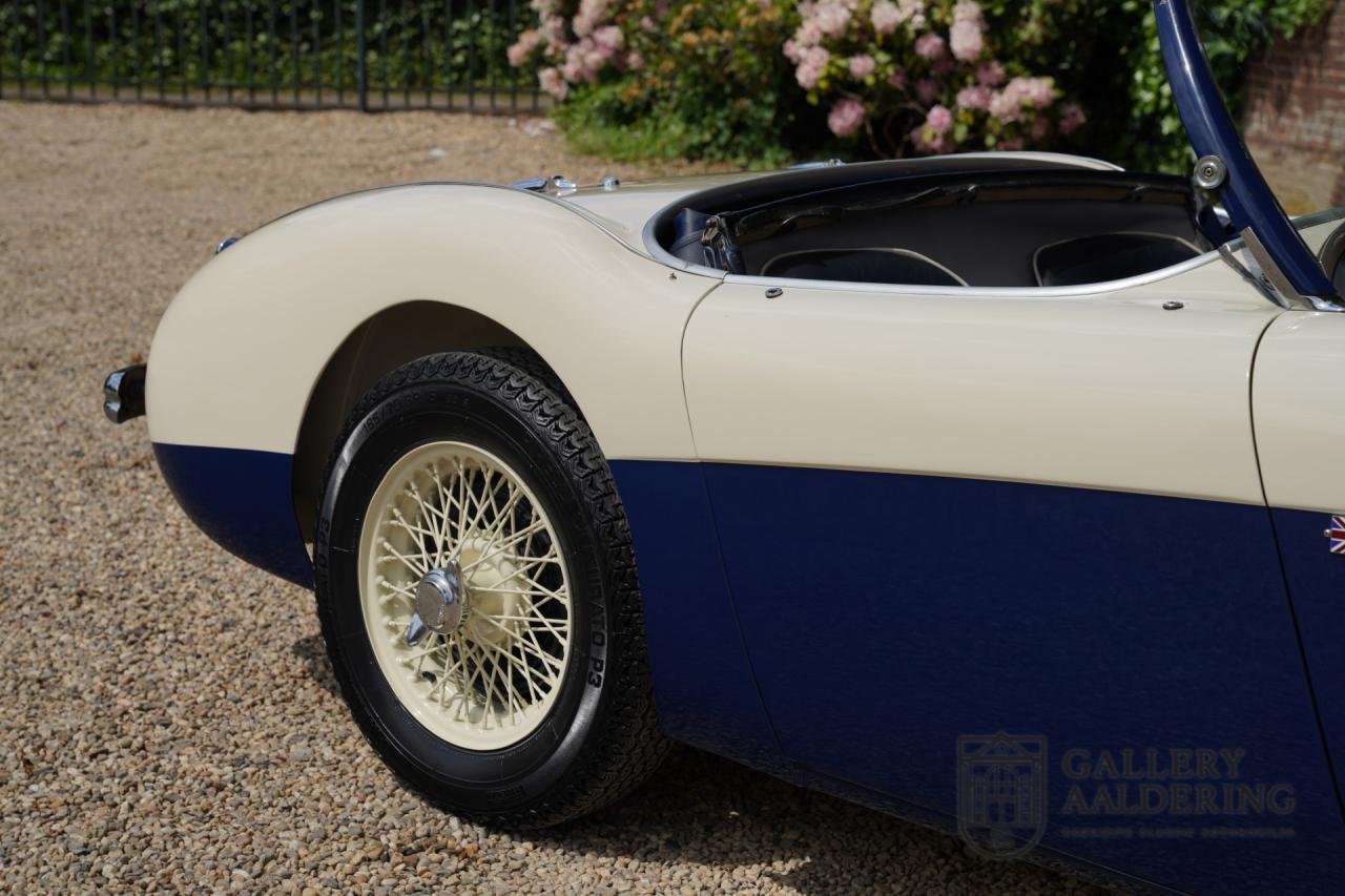 1954 Austin - Healey 100 Roadster 100M Specification