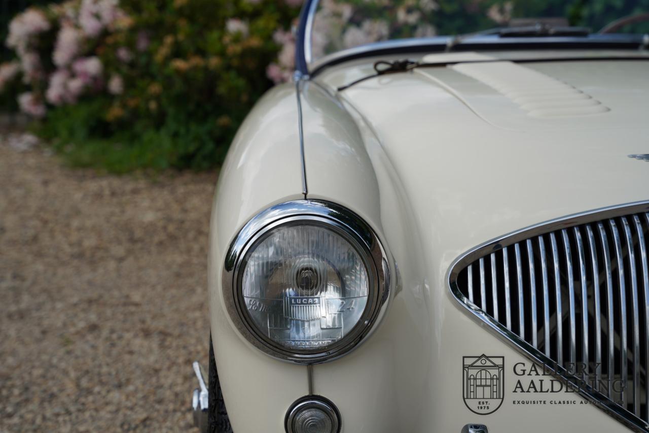 1954 Austin - Healey 100 Roadster 100M Specification