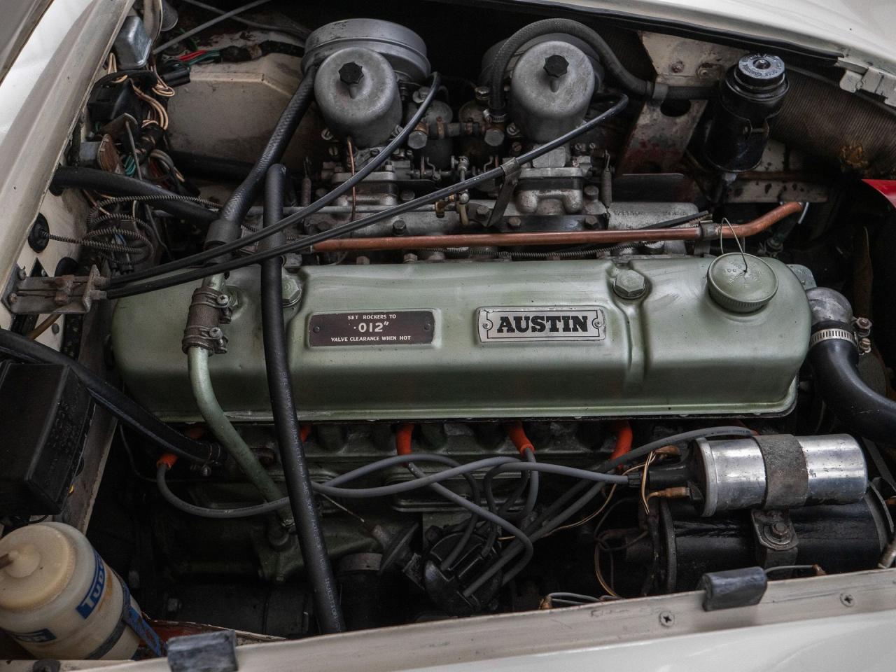 1966 Austin - Healey 3000 Mark III