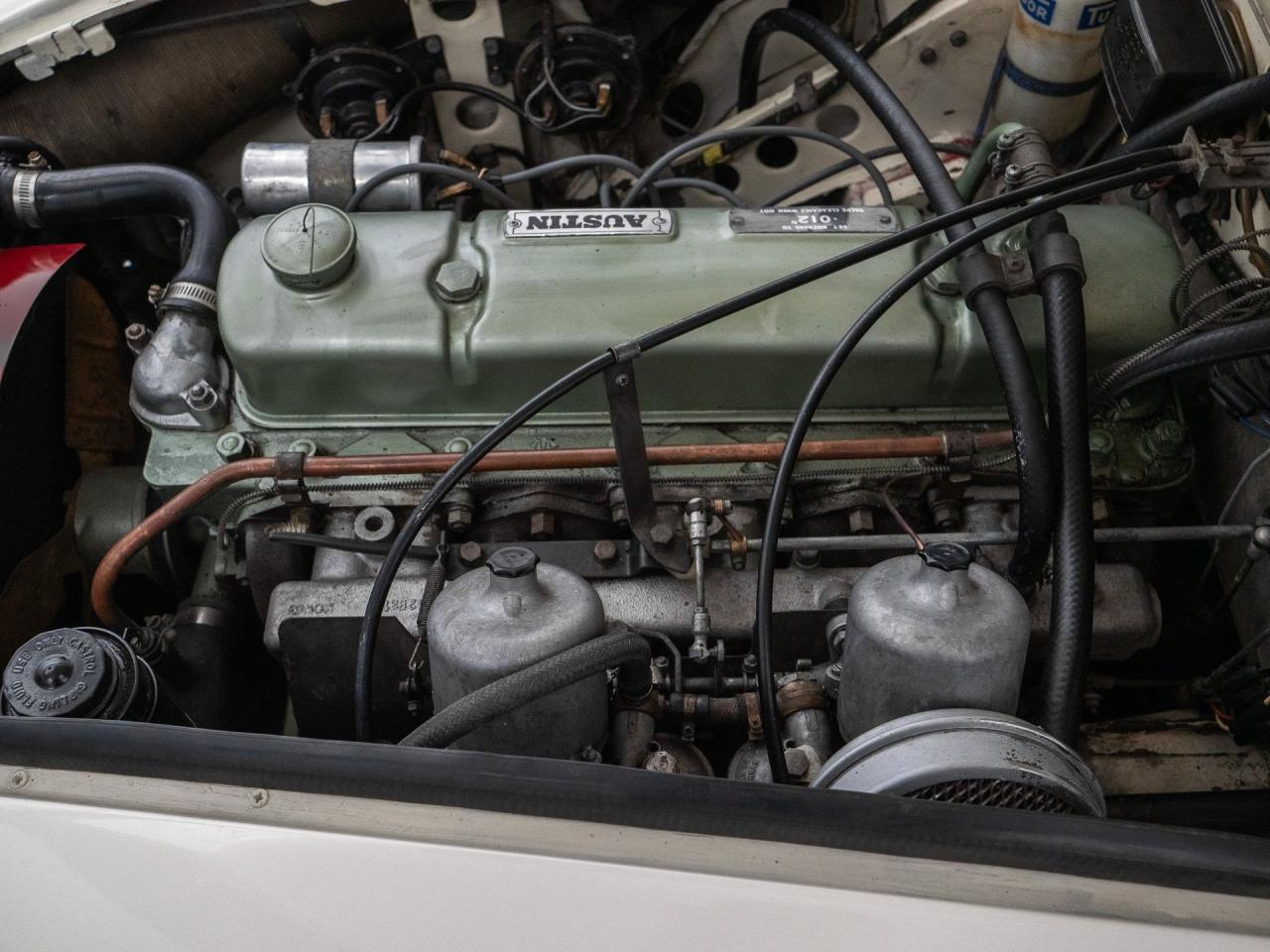 1966 Austin - Healey 3000 Mark III