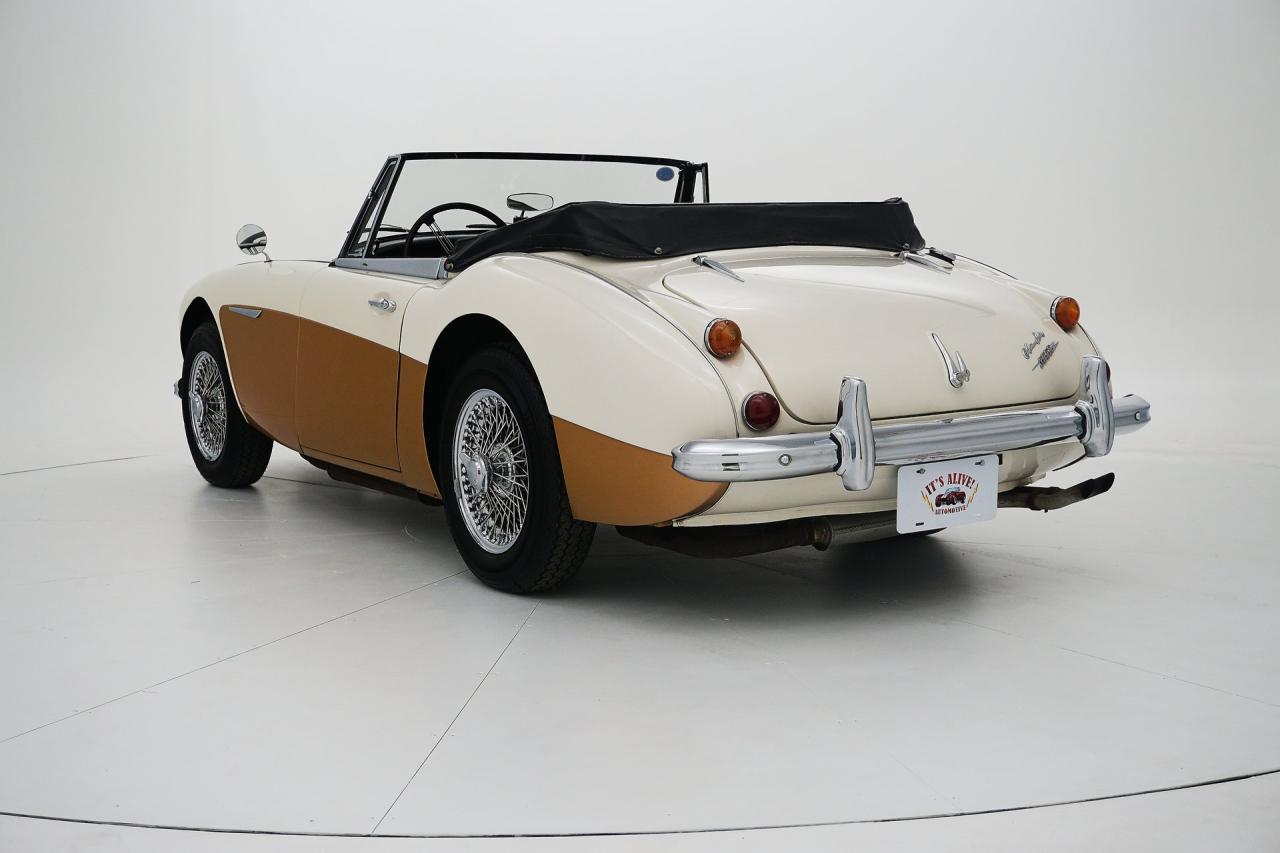 1966 Austin - Healey 3000 Mark III