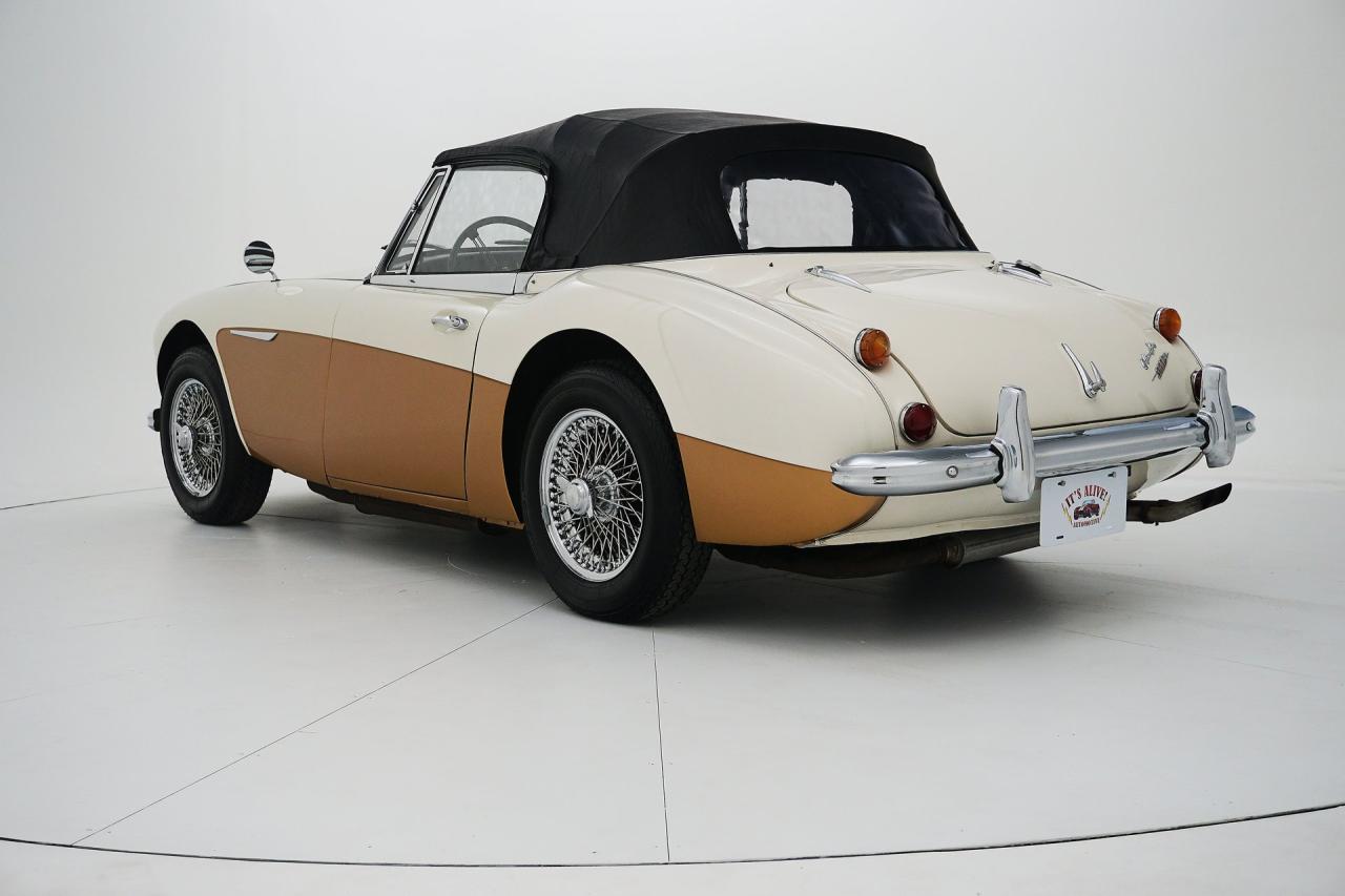 1966 Austin - Healey 3000 Mark III