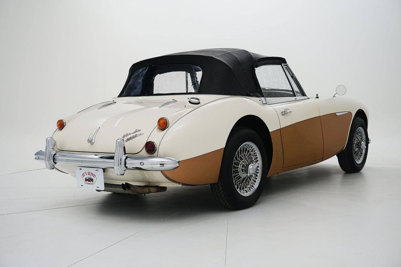 1966 Austin - Healey 3000 Mark III