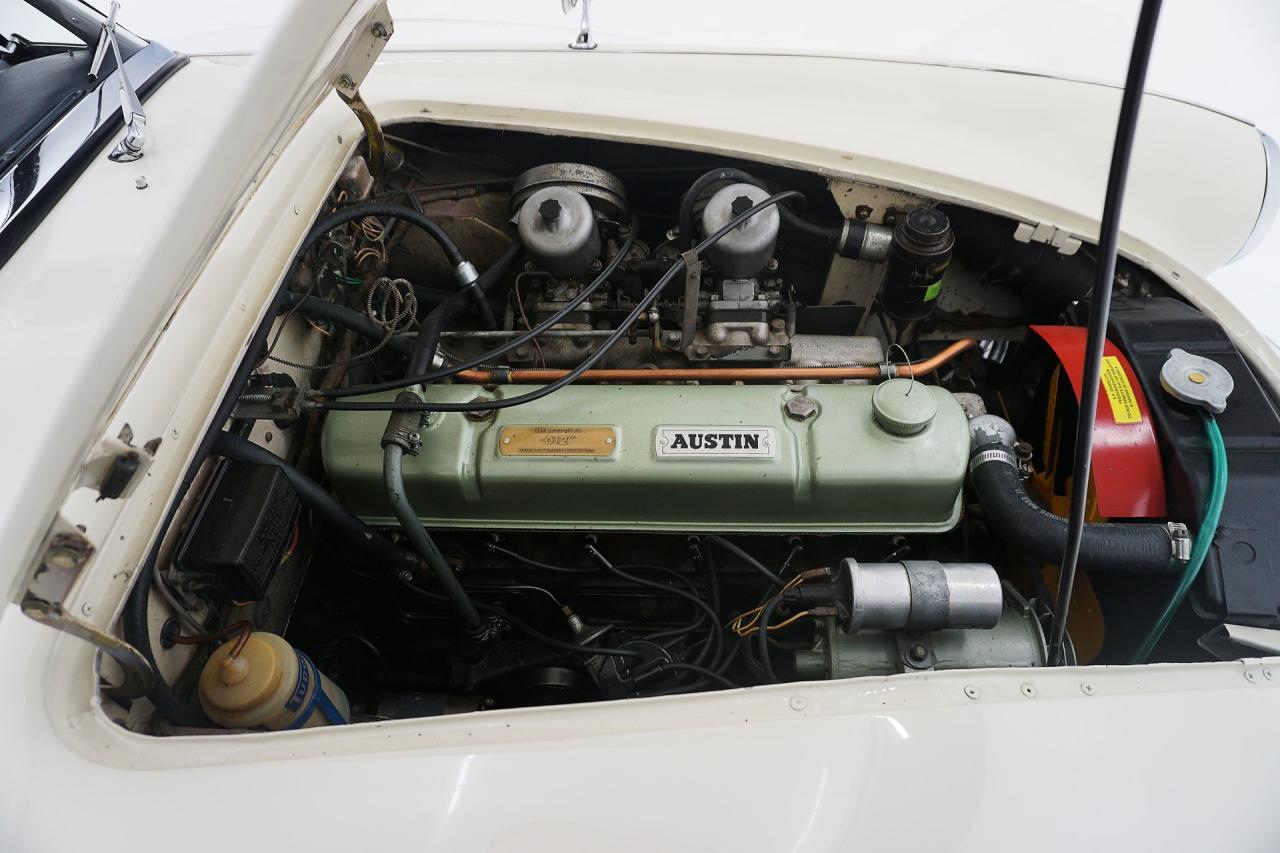 1966 Austin - Healey 3000 Mark III