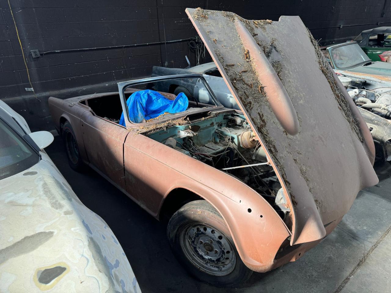 1968 Triumph TR250 Project