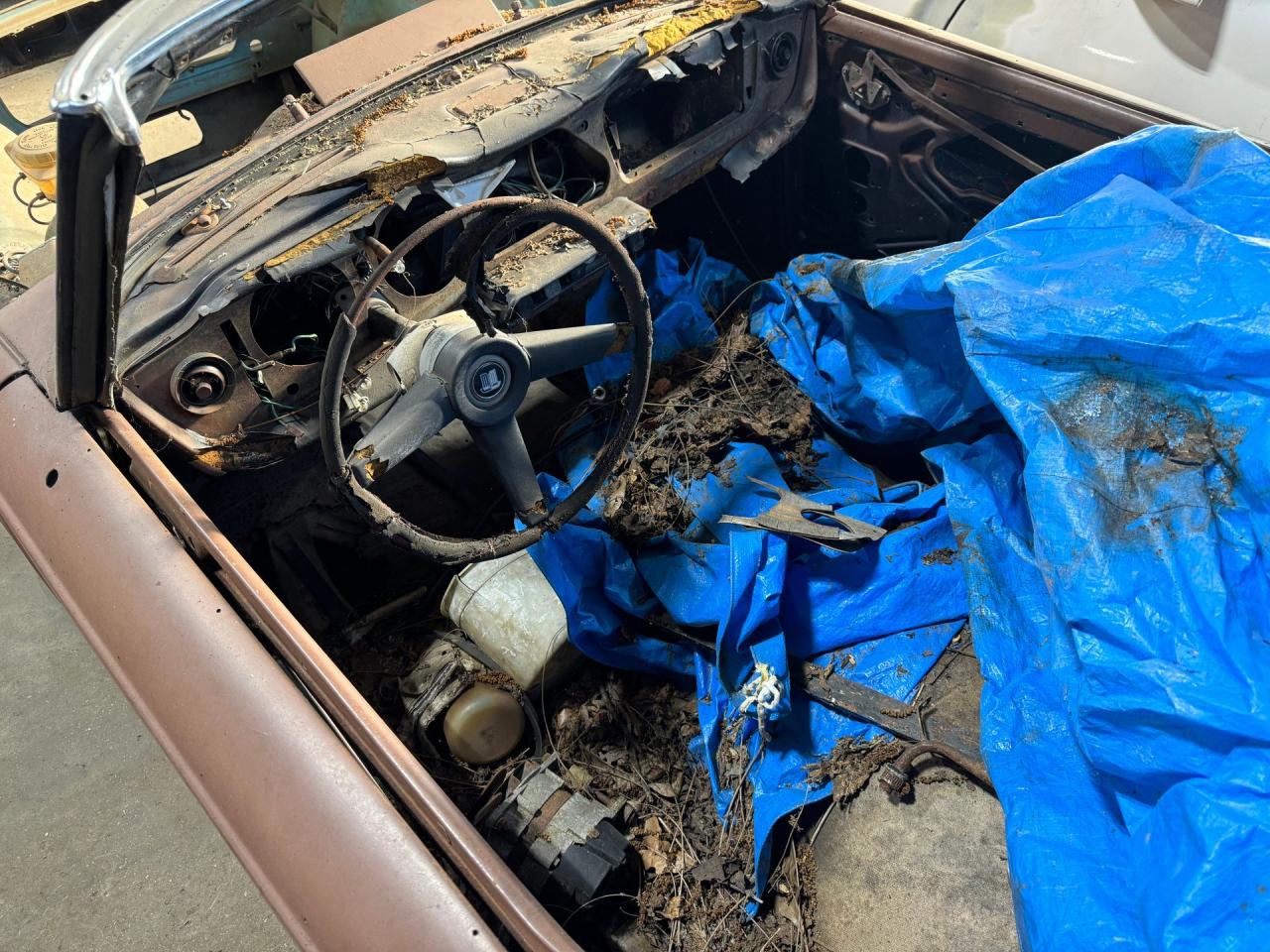 1968 Triumph TR250 Project