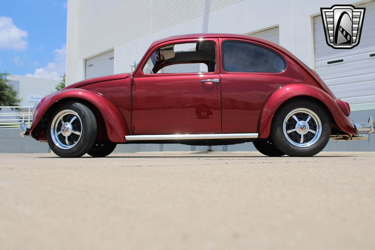 1966 Volkswagen Beetle