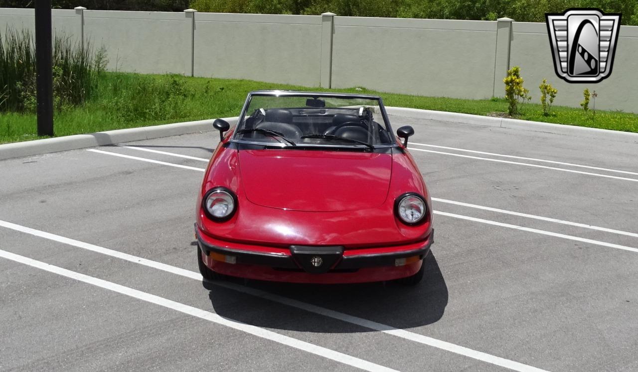 1986 Alfa Romeo Spider