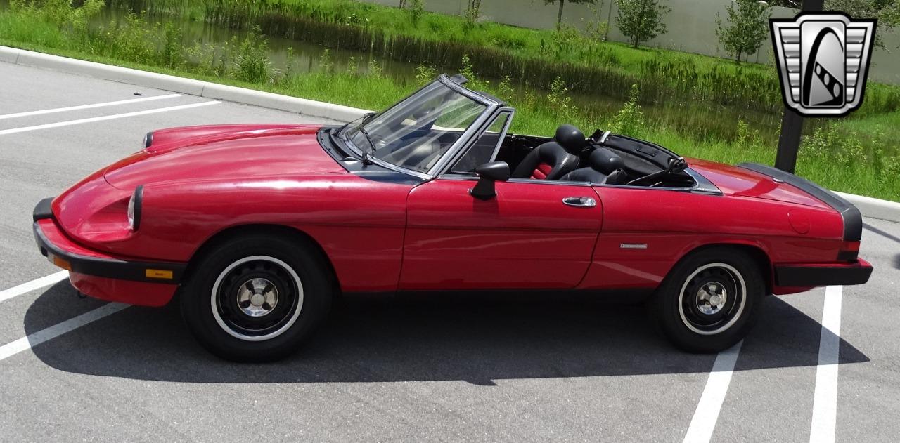 1986 Alfa Romeo Spider