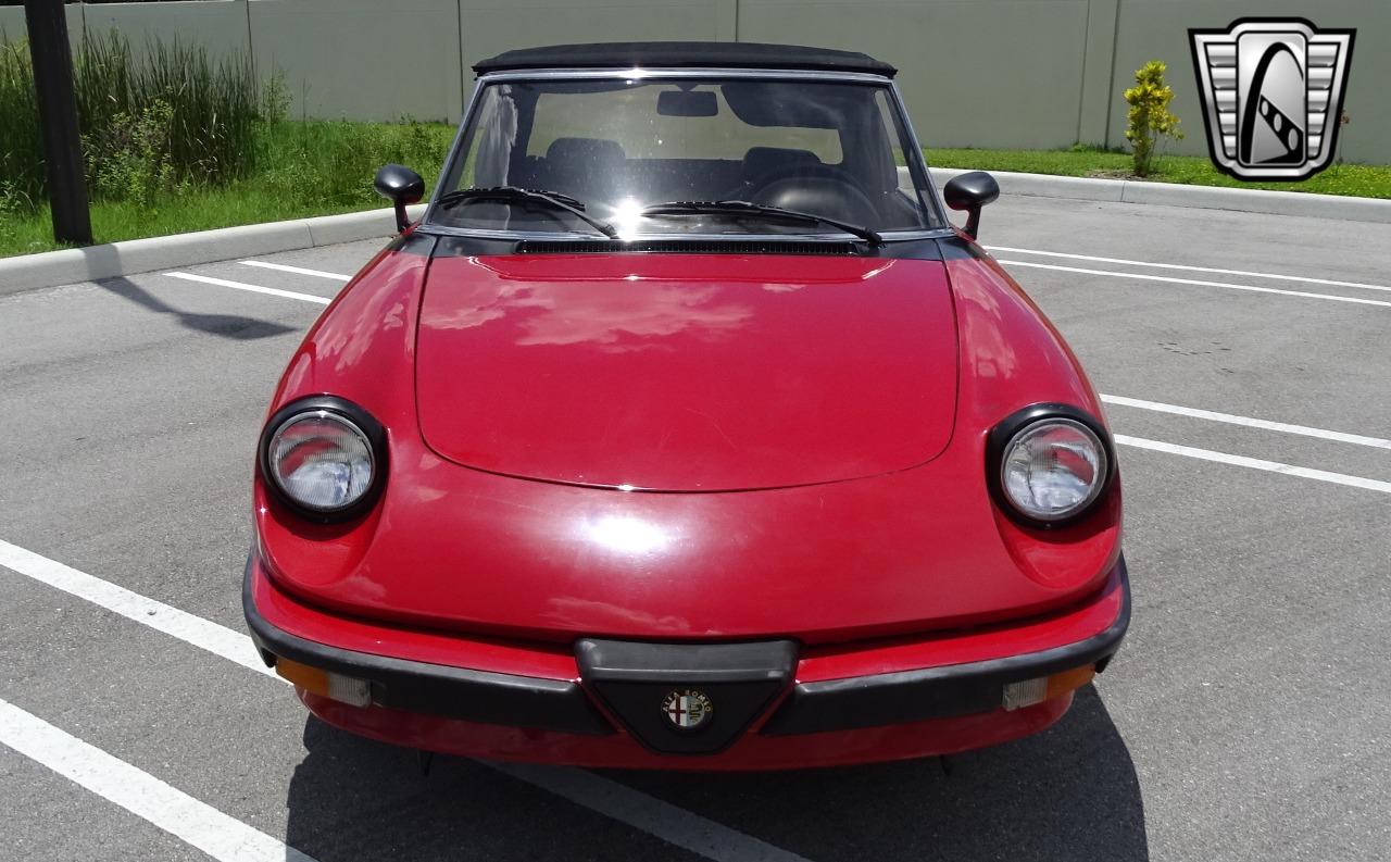 1986 Alfa Romeo Spider