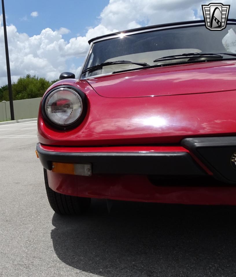 1986 Alfa Romeo Spider