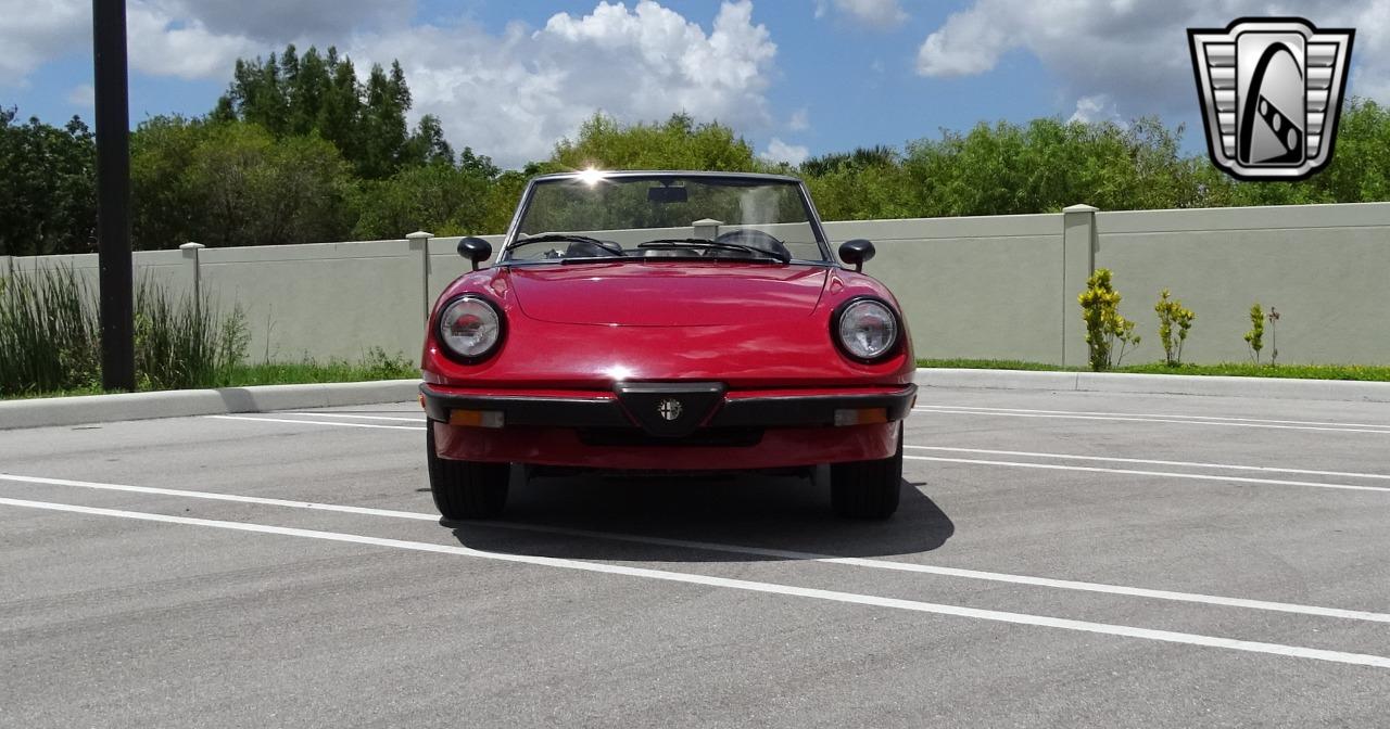 1986 Alfa Romeo Spider