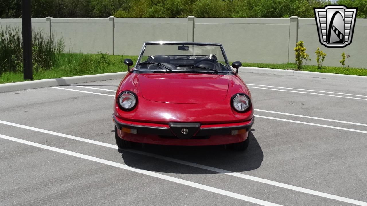 1986 Alfa Romeo Spider