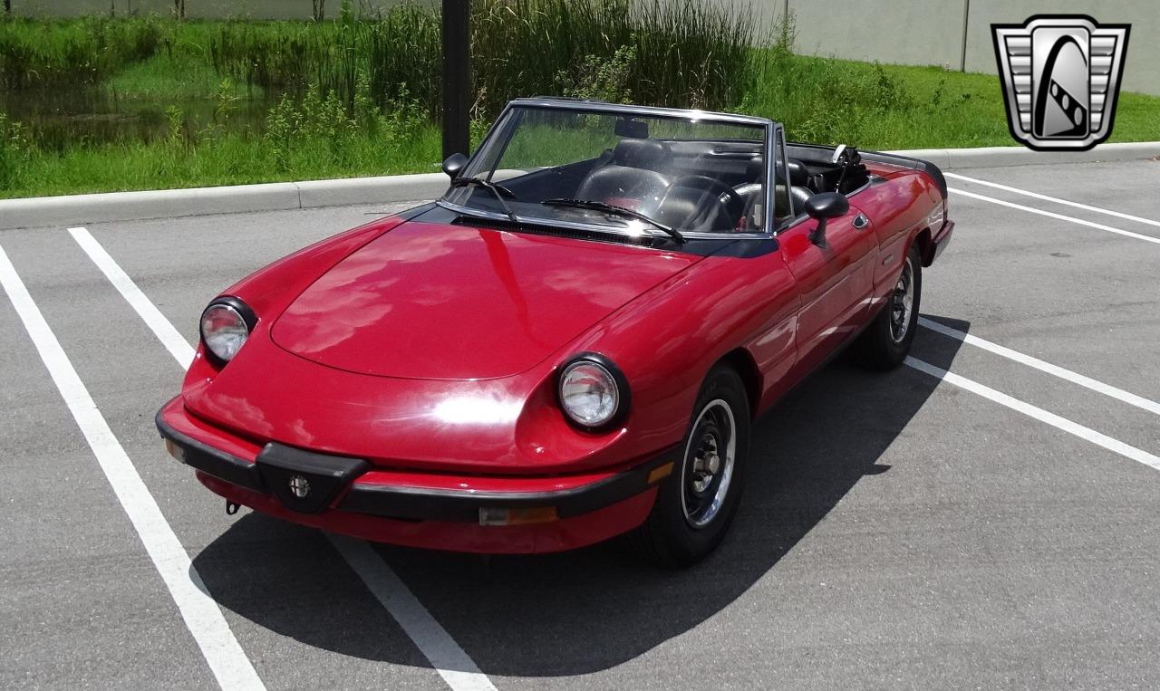 1986 Alfa Romeo Spider