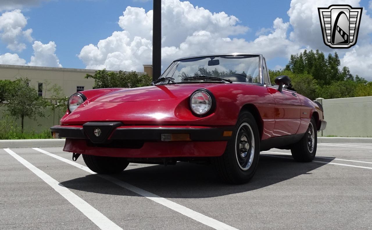 1986 Alfa Romeo Spider