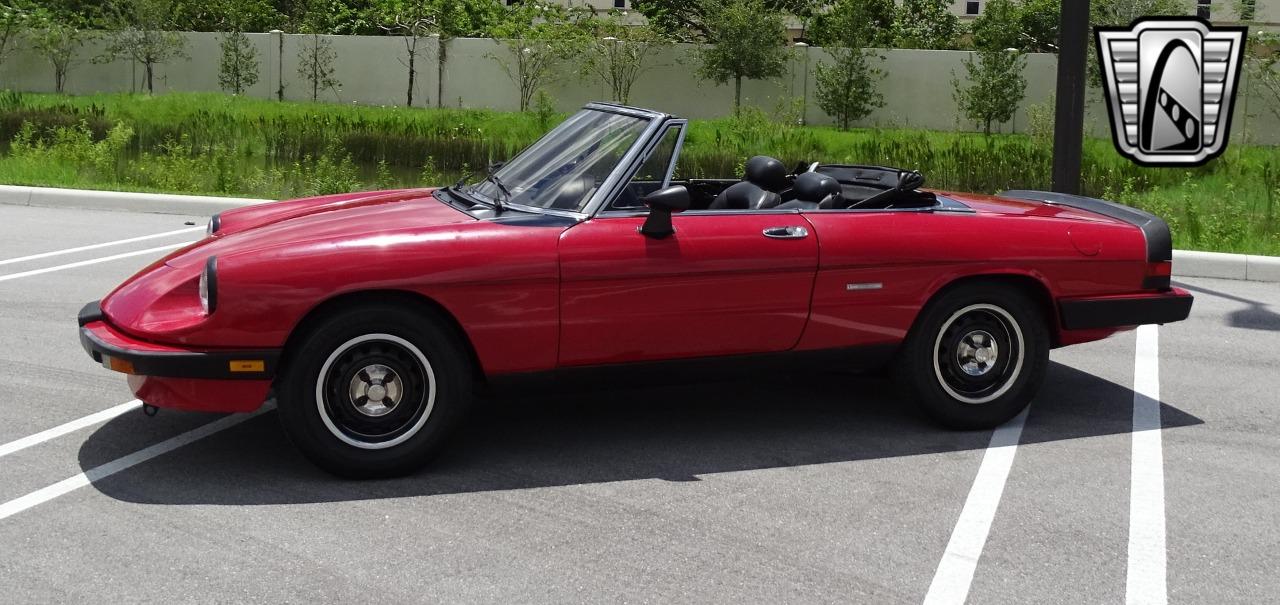 1986 Alfa Romeo Spider