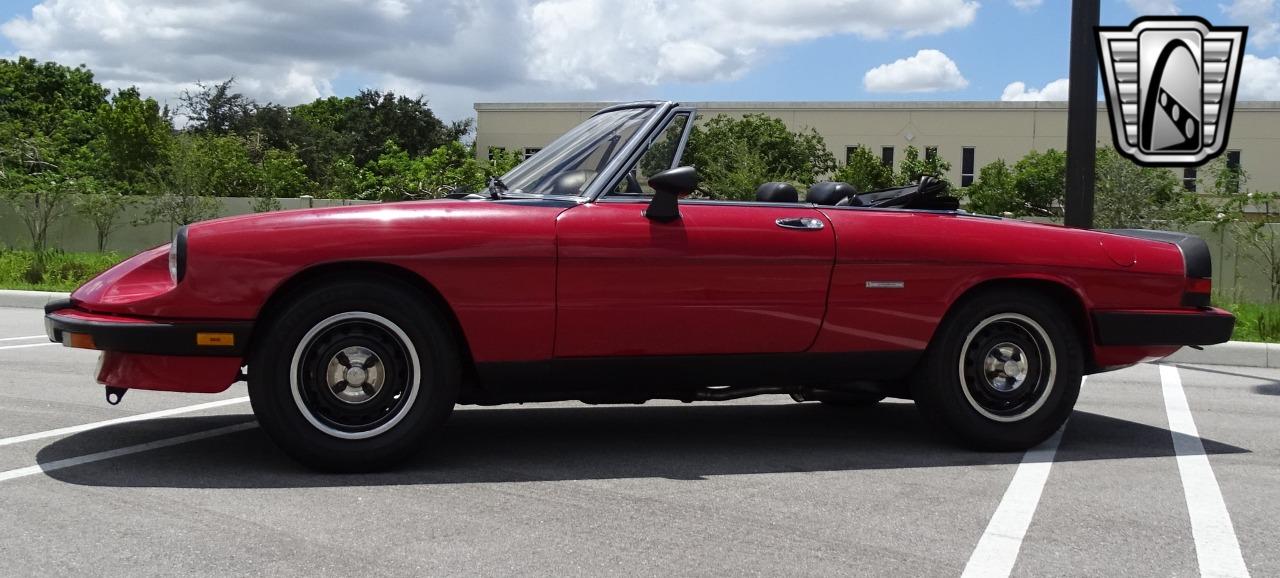 1986 Alfa Romeo Spider