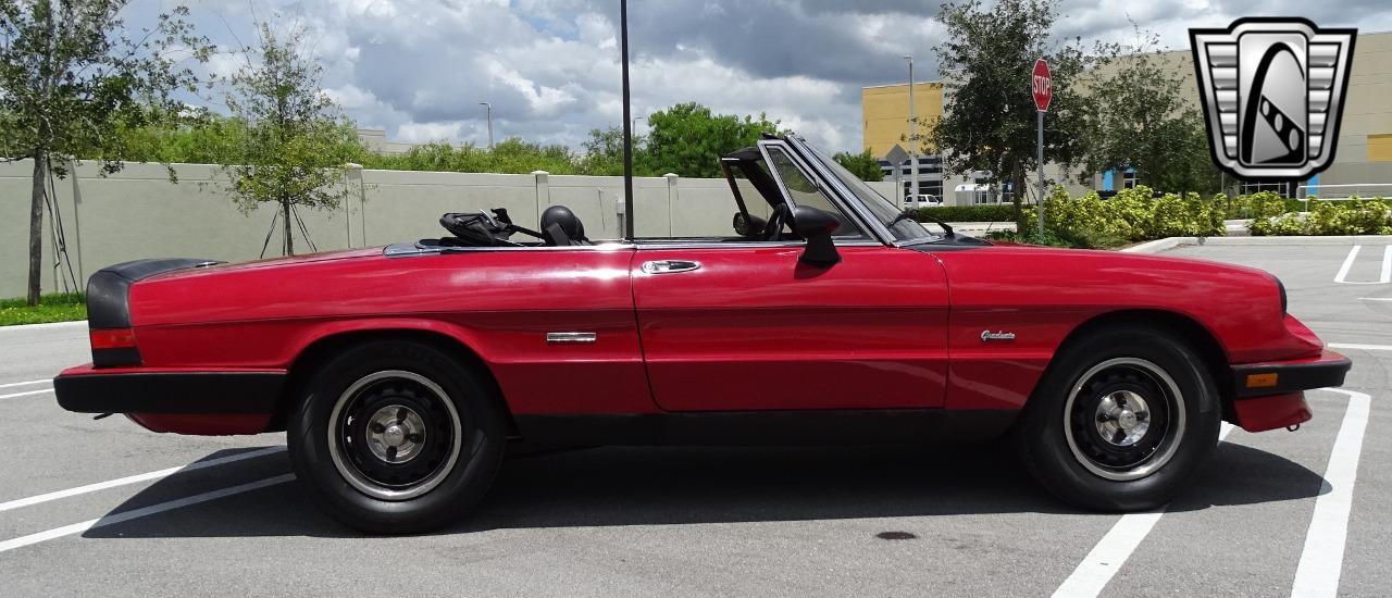 1986 Alfa Romeo Spider