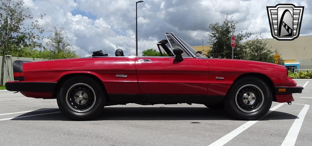 1986 Alfa Romeo Spider