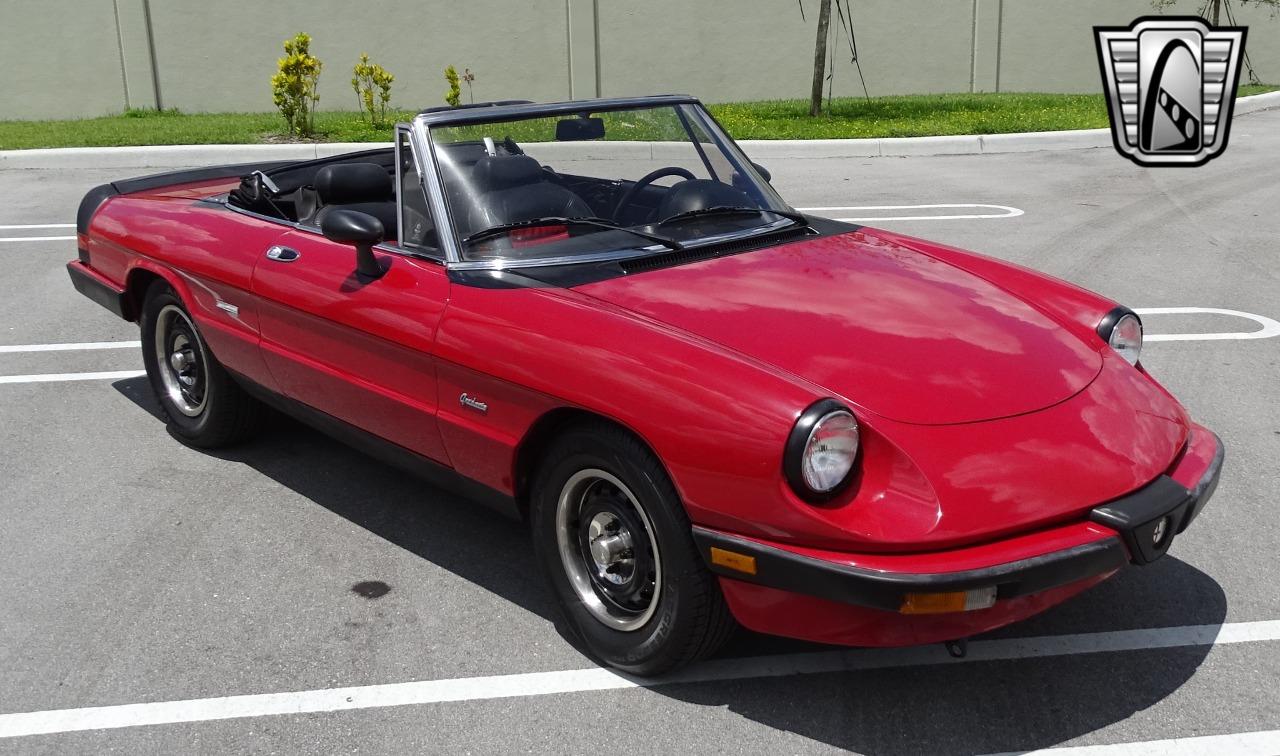 1986 Alfa Romeo Spider