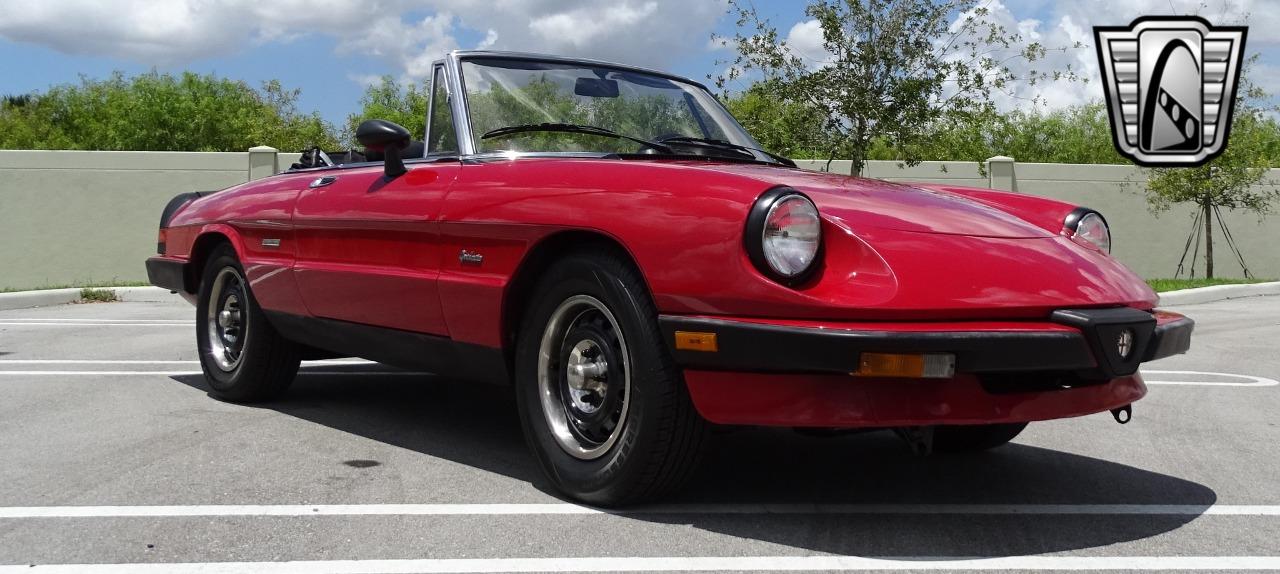 1986 Alfa Romeo Spider