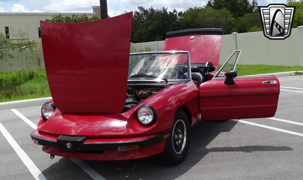 1986 Alfa Romeo Spider