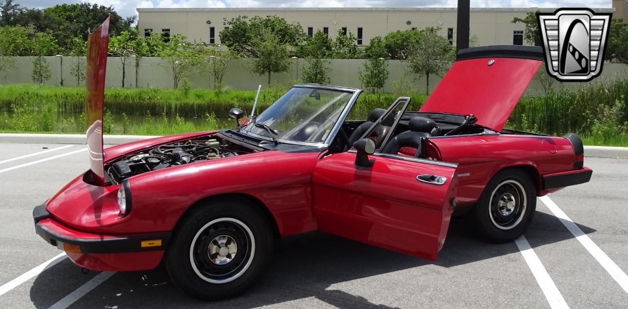 1986 Alfa Romeo Spider